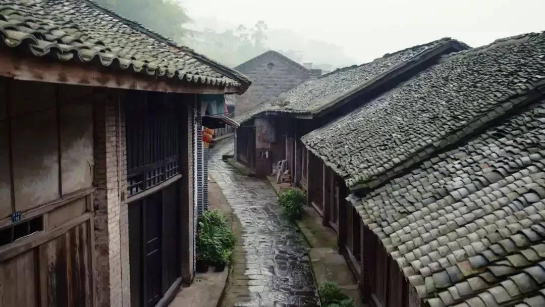著名词曲作家张枚同逝世，享年84岁，代表作品《年轻的朋友来相会》